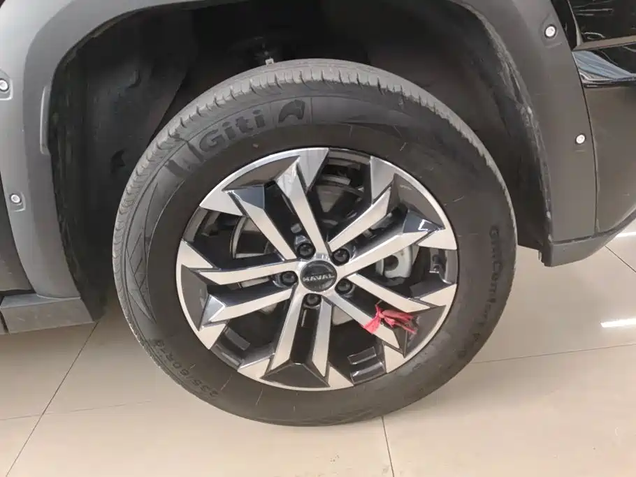 Haval Big Dog PLUS — миниатюра 6