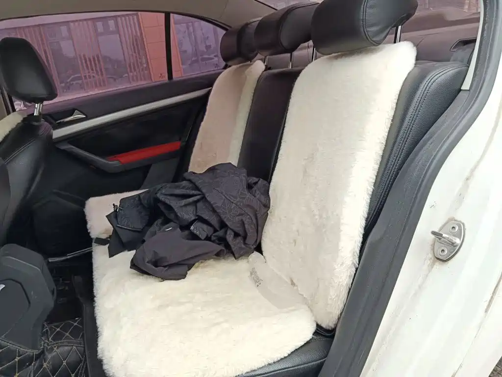 Volkswagen Lavida — миниатюра 18