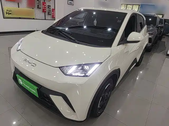 2024 BYD Seagull