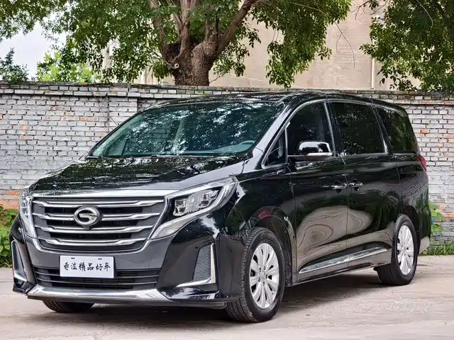 2020 GAC GN8