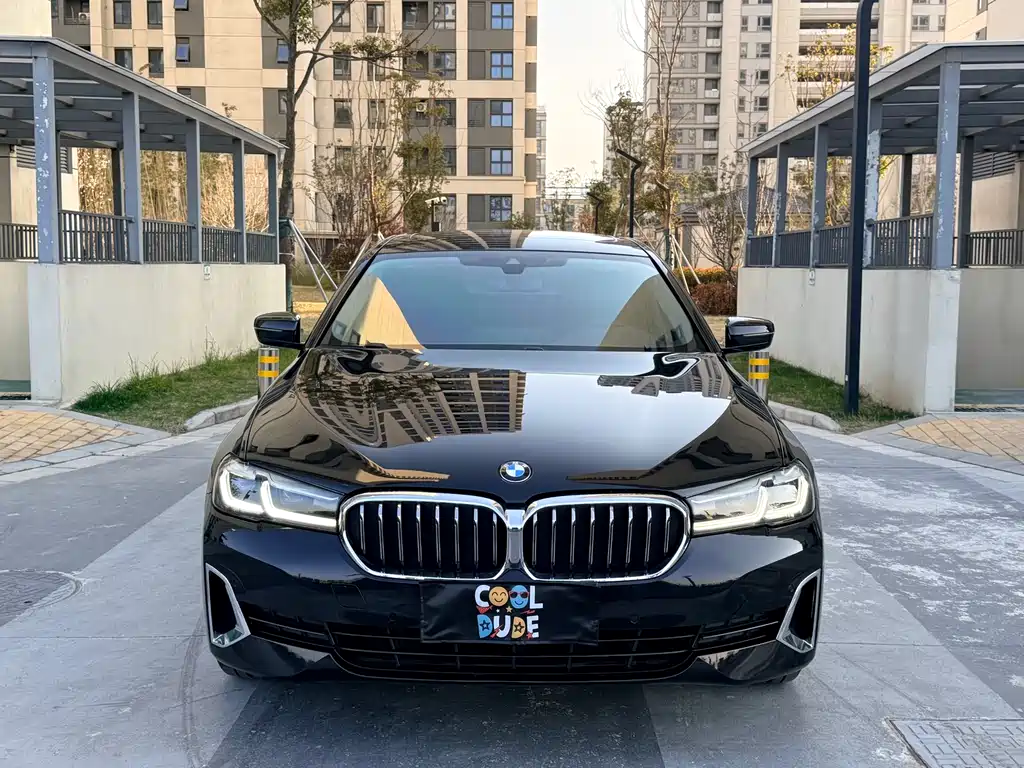 BMW 5 Series 5 2021 530Li Lead Luxury