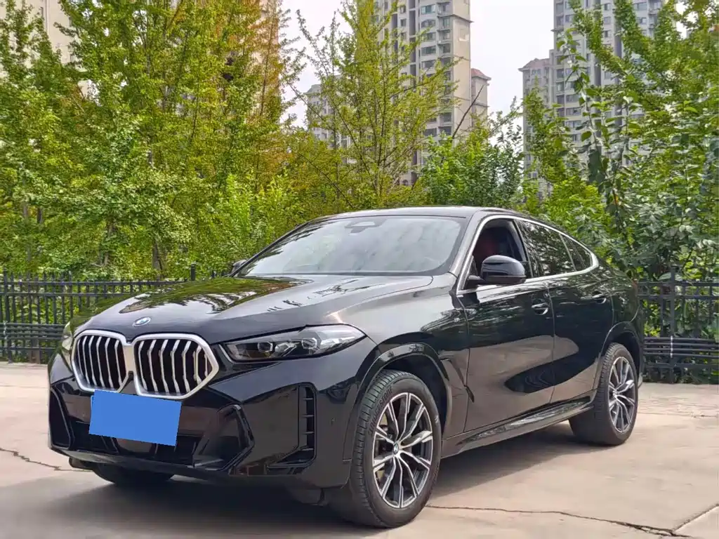 BMW X6 — миниатюра 2