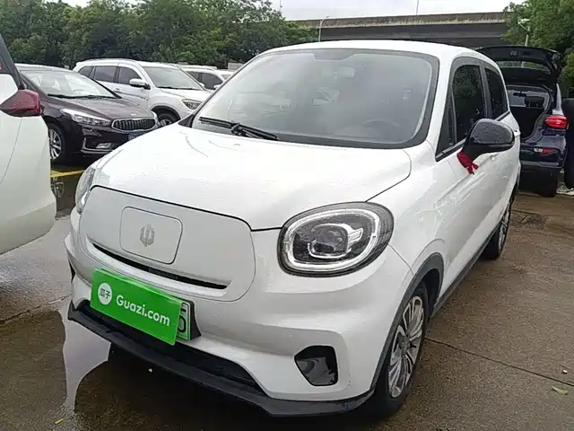 2021 Leapmotor T03