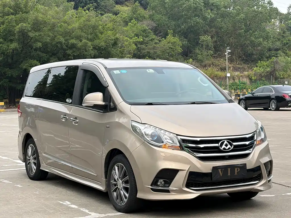 Maxus G10 2.0T Auto Executive Edition, фото 2