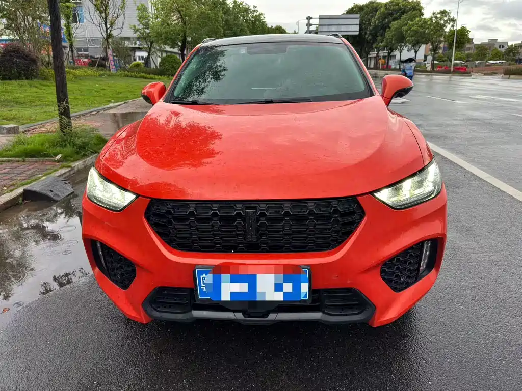 WEI PAI WEI BRAND VV5