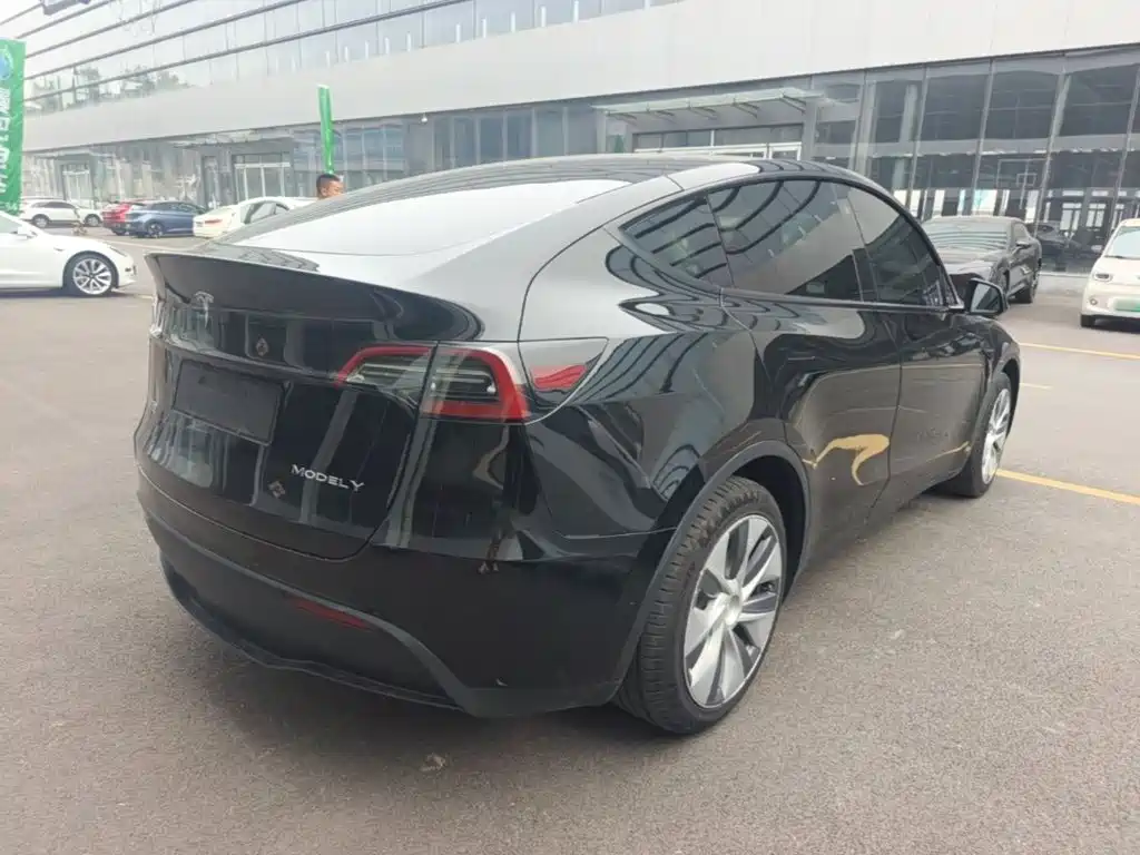 Tesla Model Y — миниатюра 7