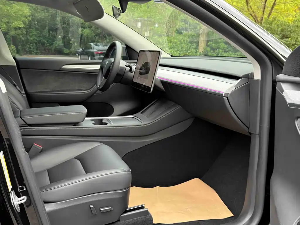 Tesla Model Y — миниатюра 10