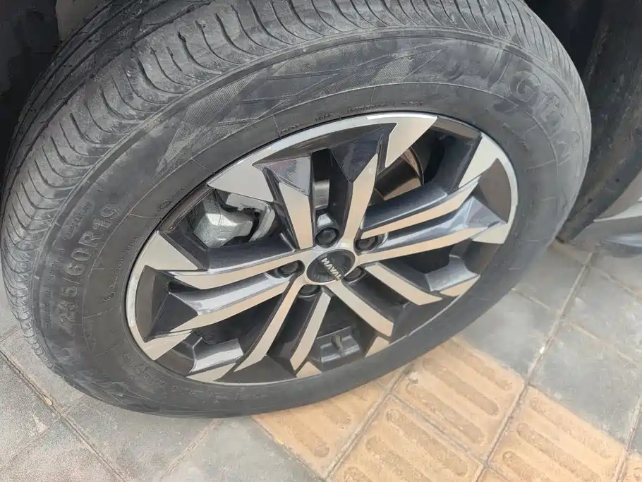 Haval Big Dog PLUS — миниатюра 6