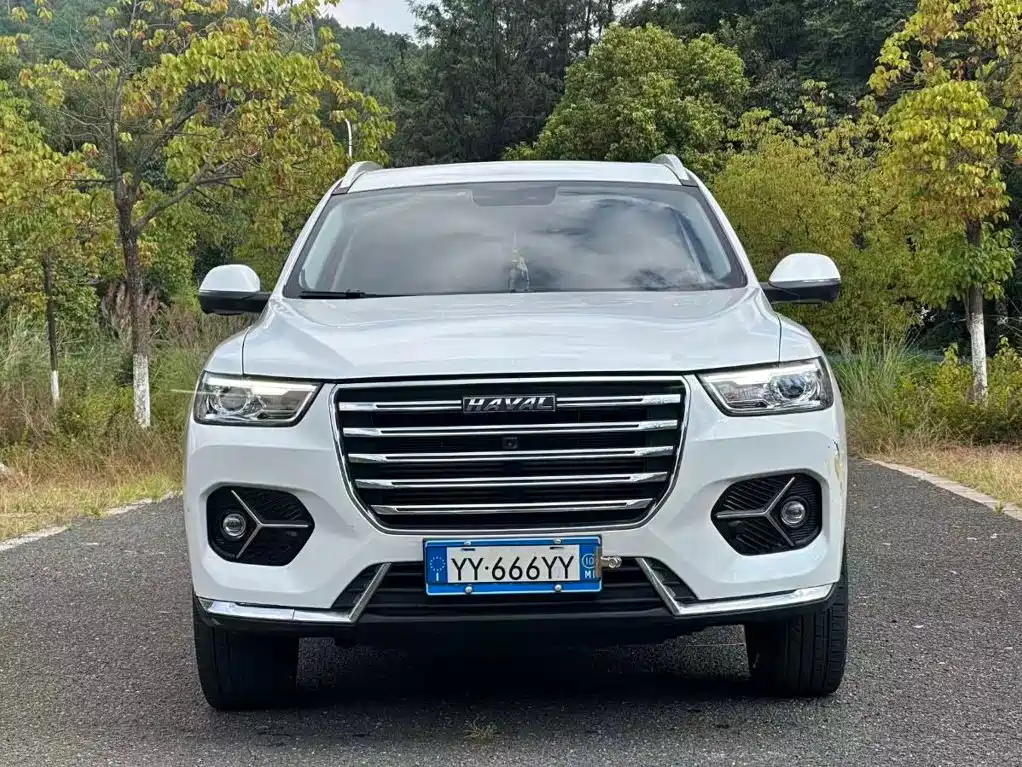 Haval H6 — миниатюра 2