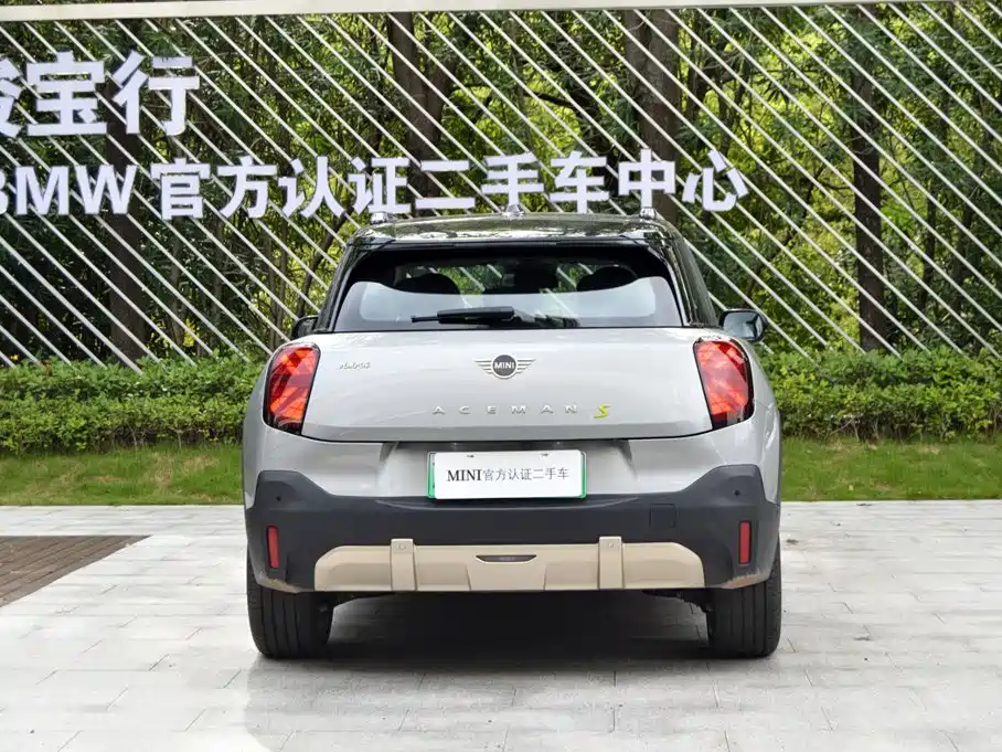MINI MINI ACEMAN EV — миниатюра 5
