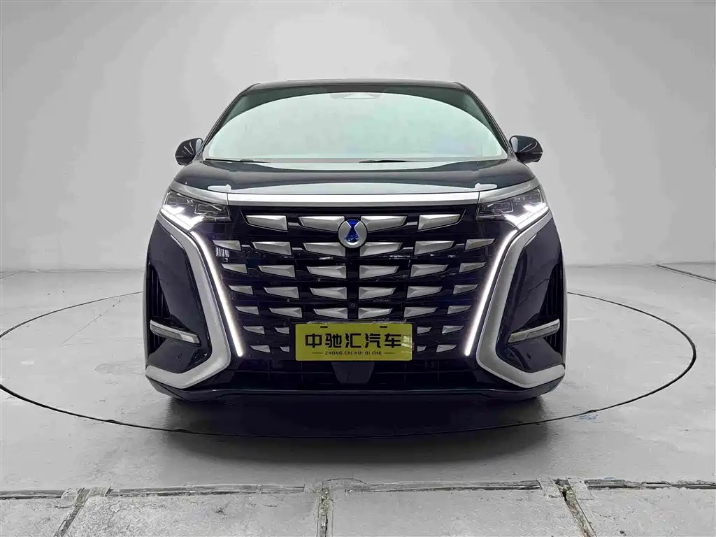Denza Denza D9 — миниатюра 2