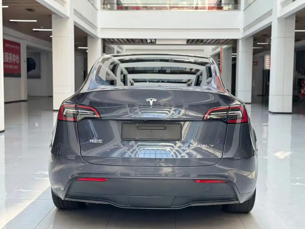 Tesla Model Y — миниатюра 6