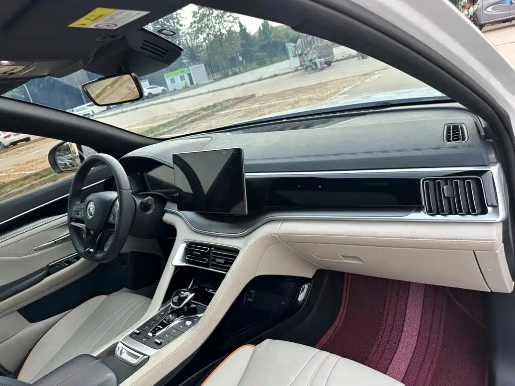 BYD PLUS New Energy — миниатюра 18