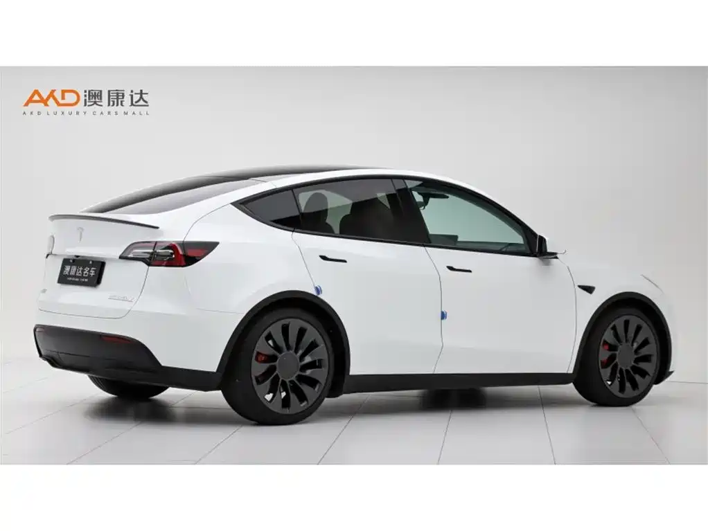 Tesla Model Y — миниатюра 3