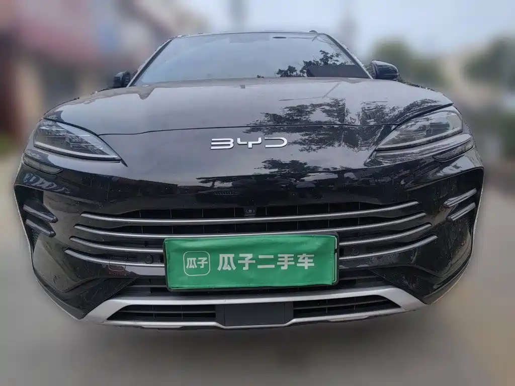 BYD PLUS New Energy — миниатюра 2