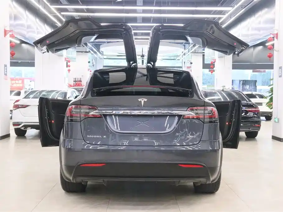 Tesla Model X 2017 Model X 100D