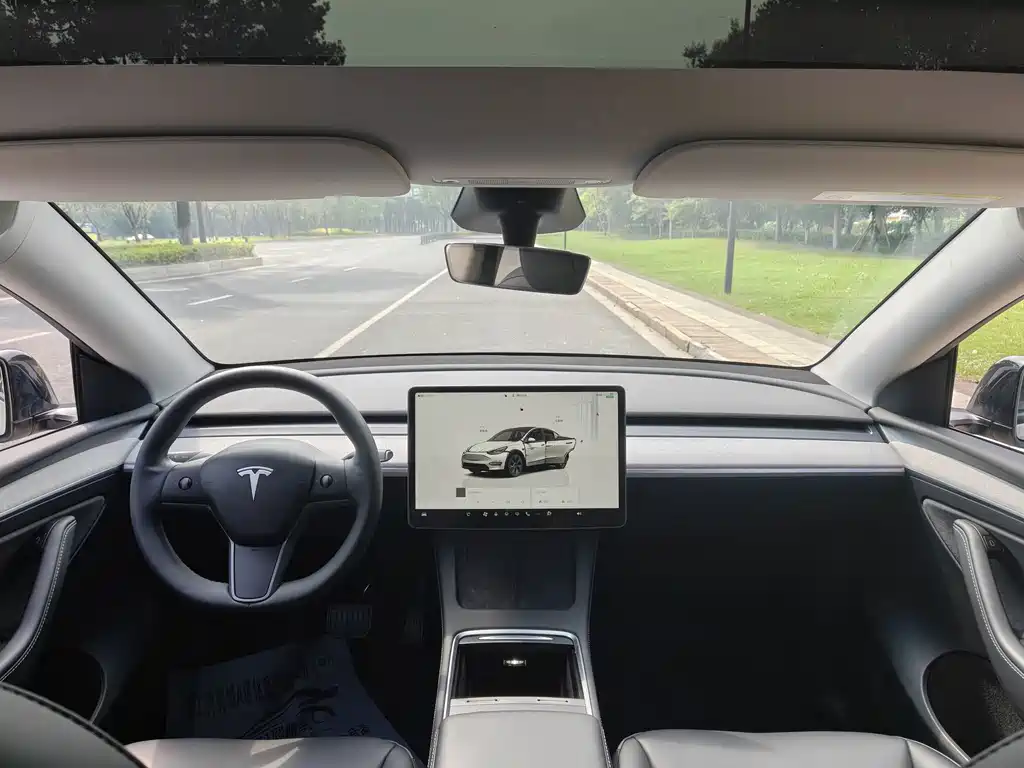 Tesla Model Y — миниатюра 8