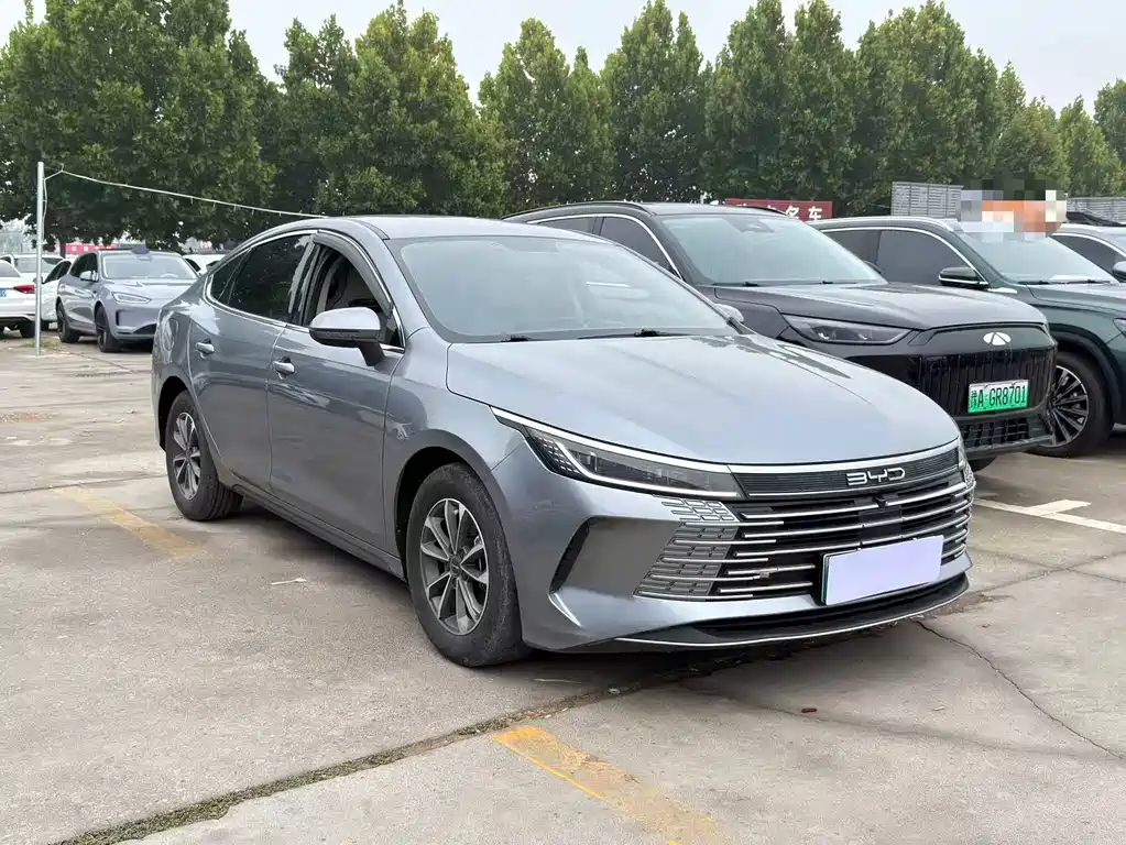 BYD Destroyer 05 2024 DM-i 55KM Luxury