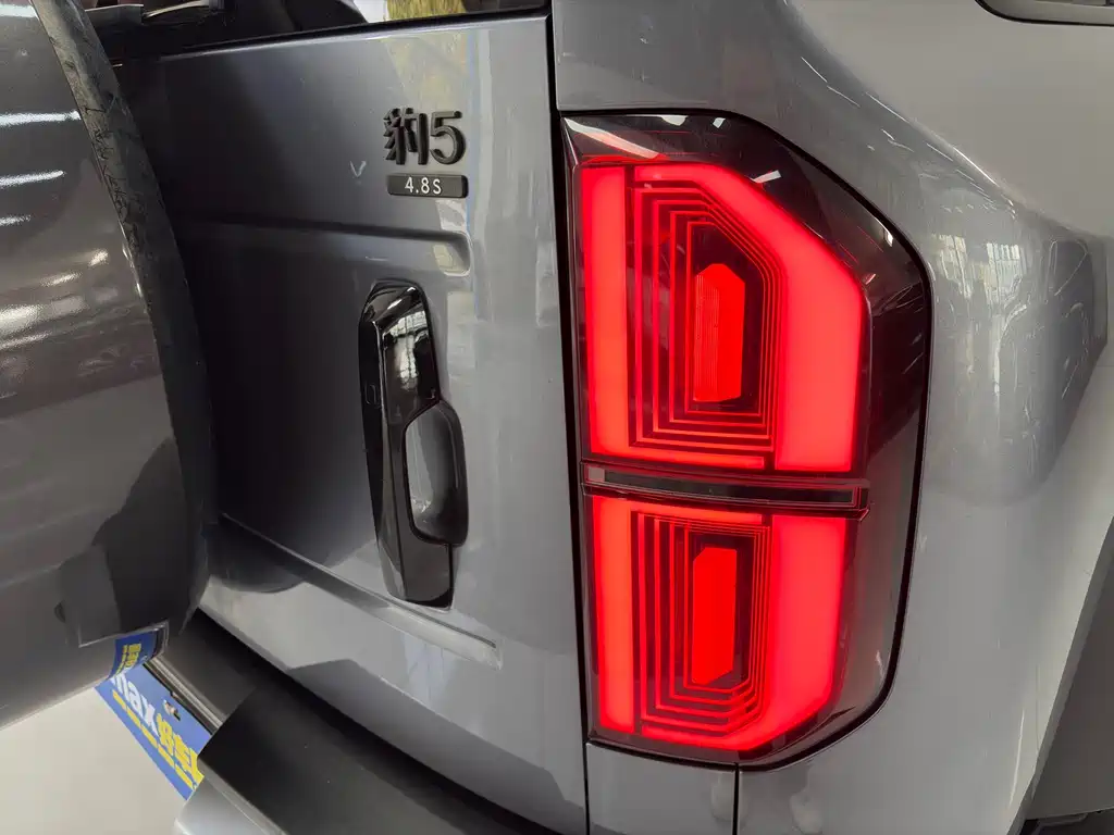 FANG CHENG BAO LEOPARD 5