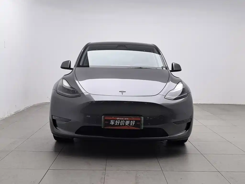 Tesla Model Y — миниатюра 3