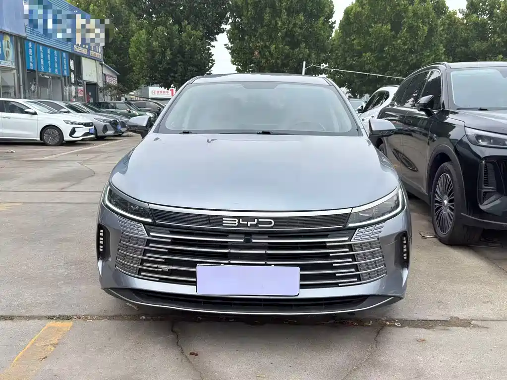 BYD Destroyer 05 2024 DM-i 55KM Luxury