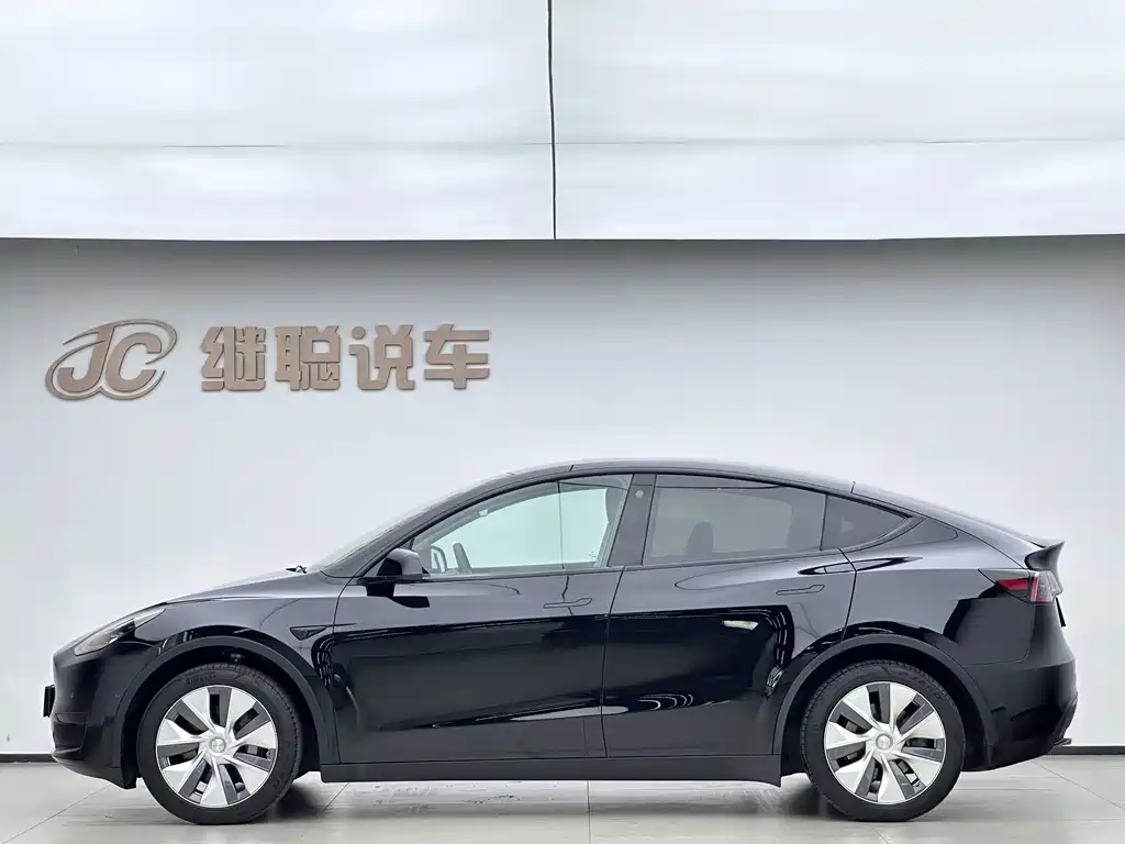Tesla Model Y — миниатюра 5