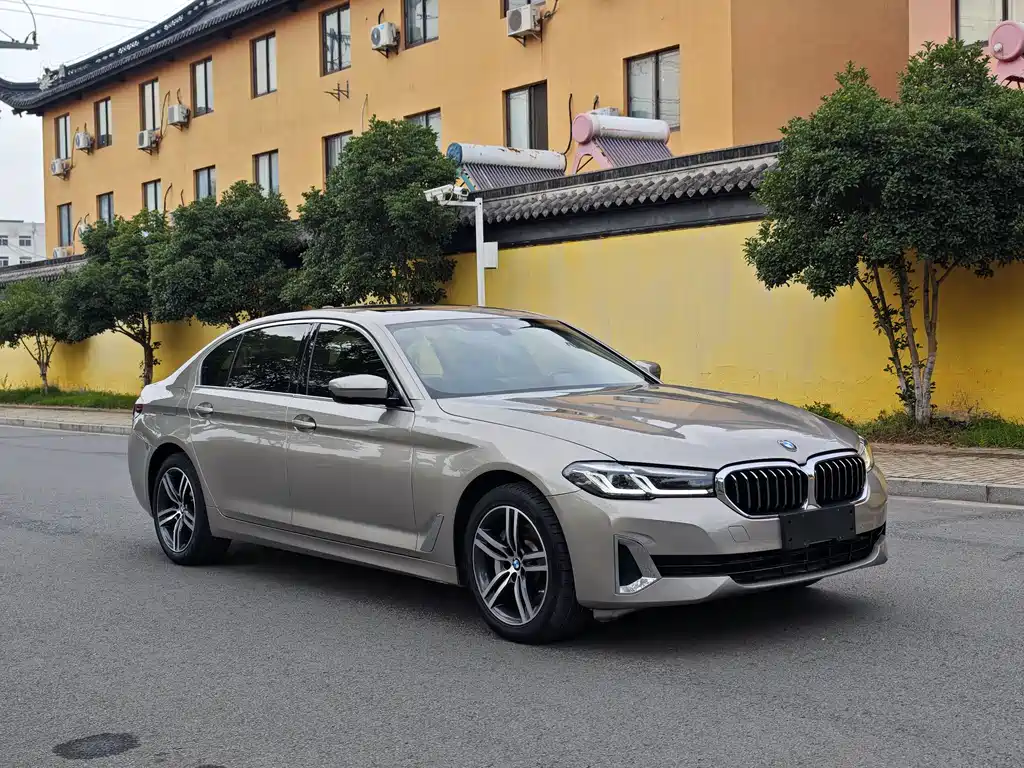 BMW 5 Series 5 2021 530Li Lead Luxury
