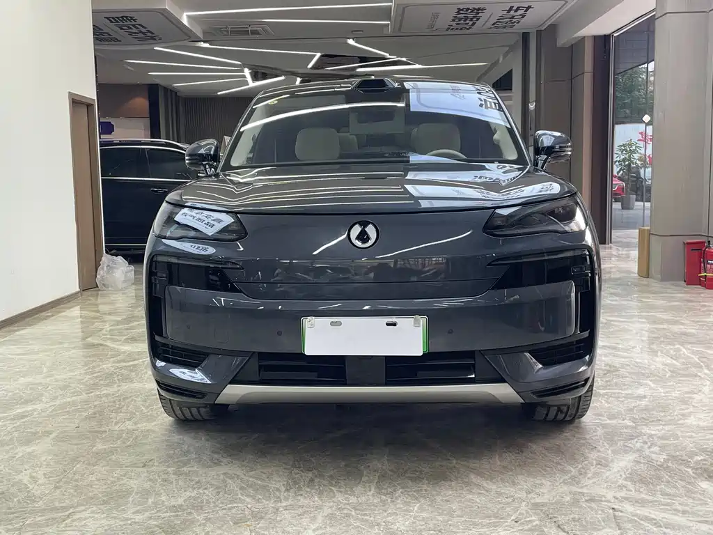 Denza Denza N9 — миниатюра 2