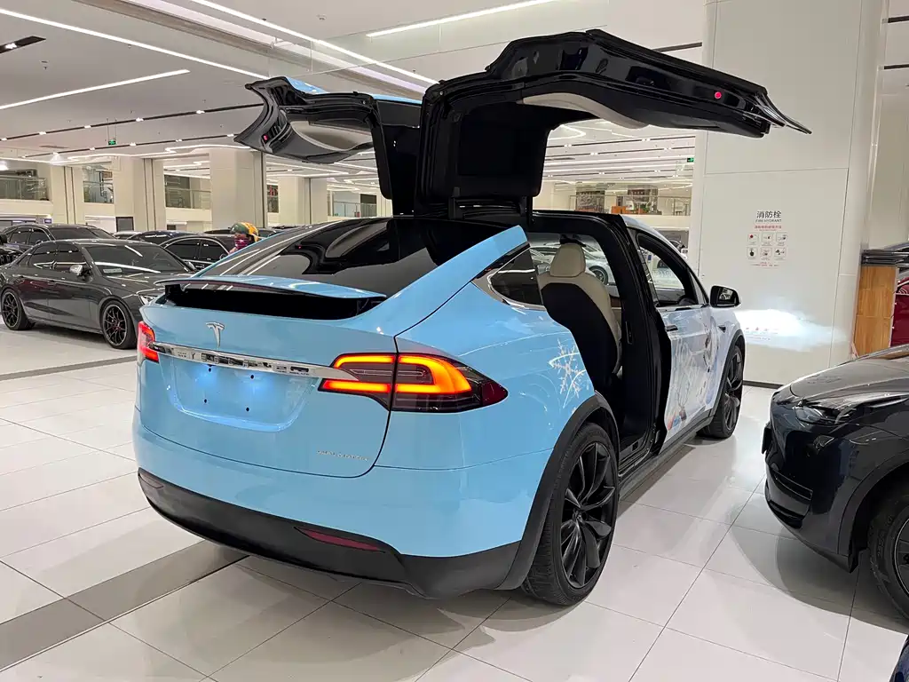TESLA MODEL X