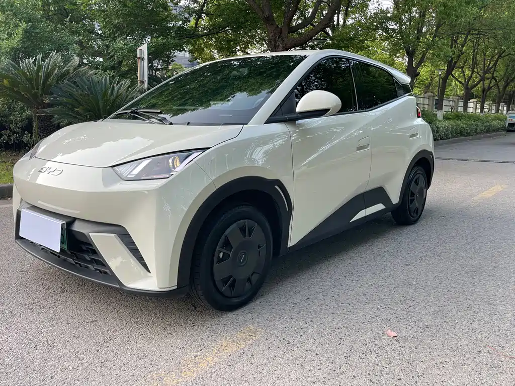Byd Seagull 2025