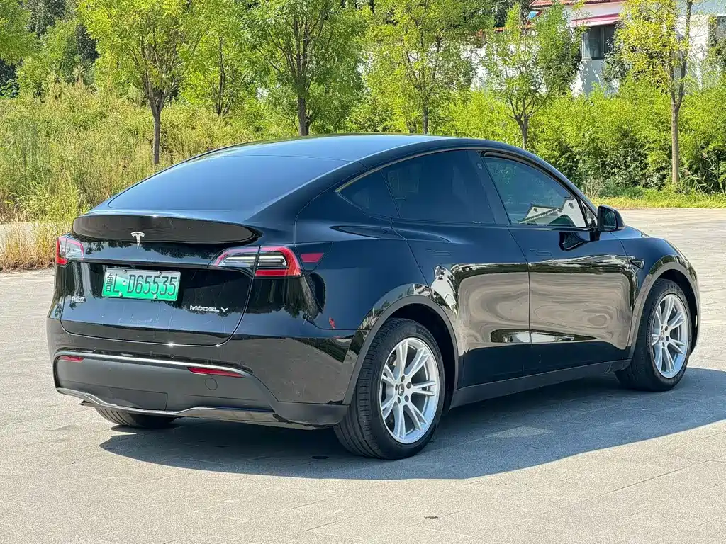 Tesla Model Y — миниатюра 9