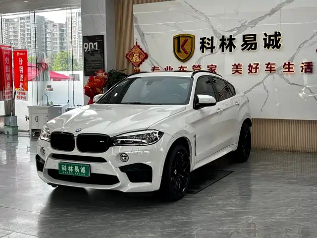 2019 BMW X6 M