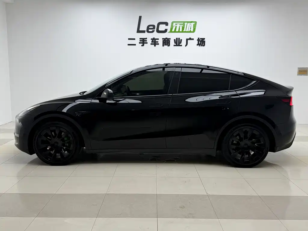 Tesla Model Y — миниатюра 4