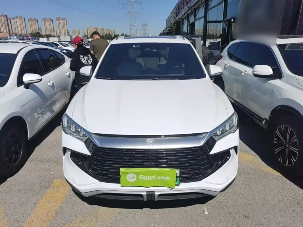 BYD Pro New Energy — миниатюра 3