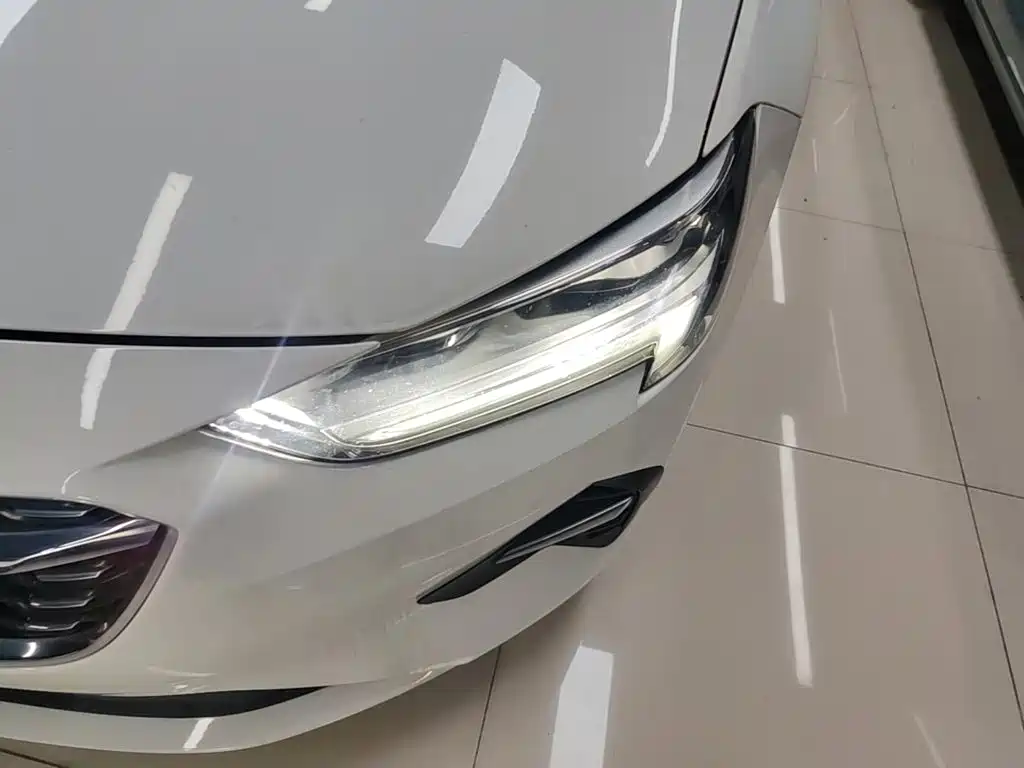 Buick Regal — миниатюра 24