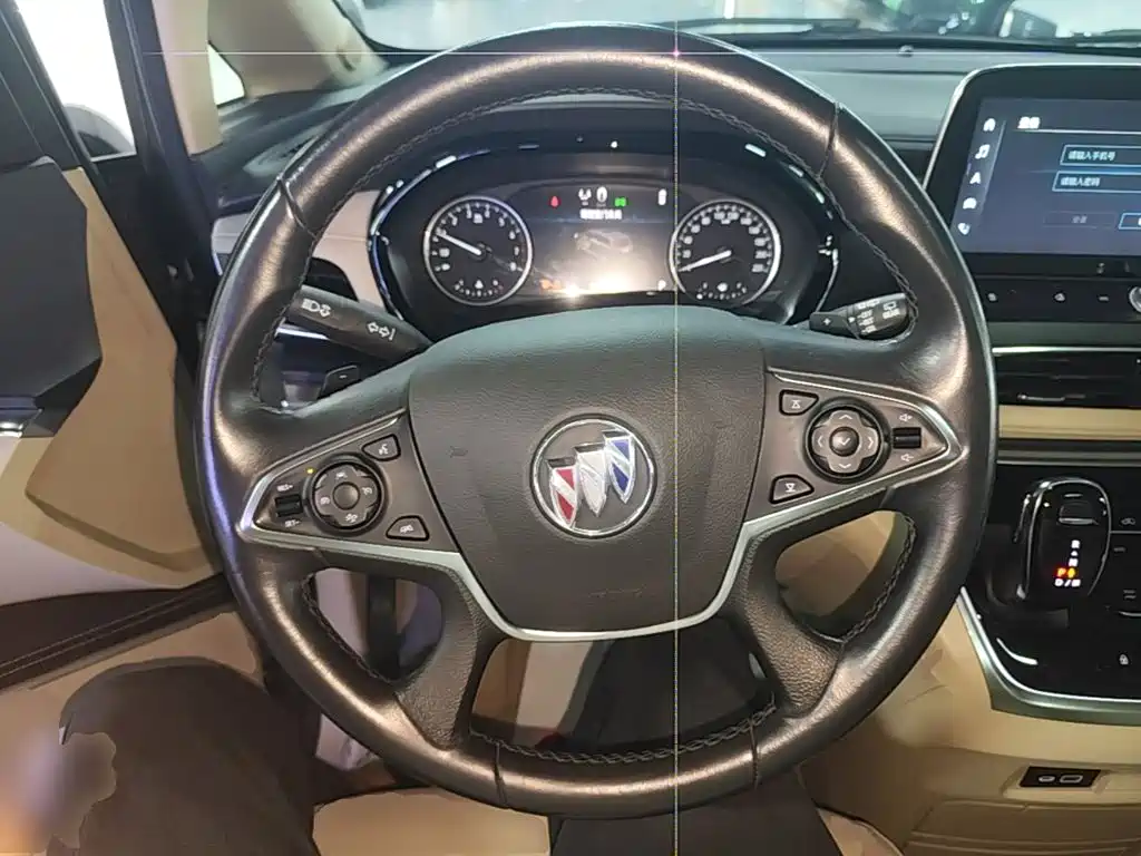 Buick GL8 — миниатюра 11