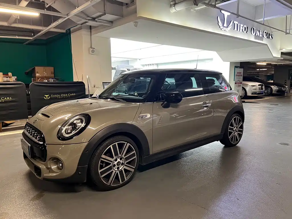 Mini Mini 2020