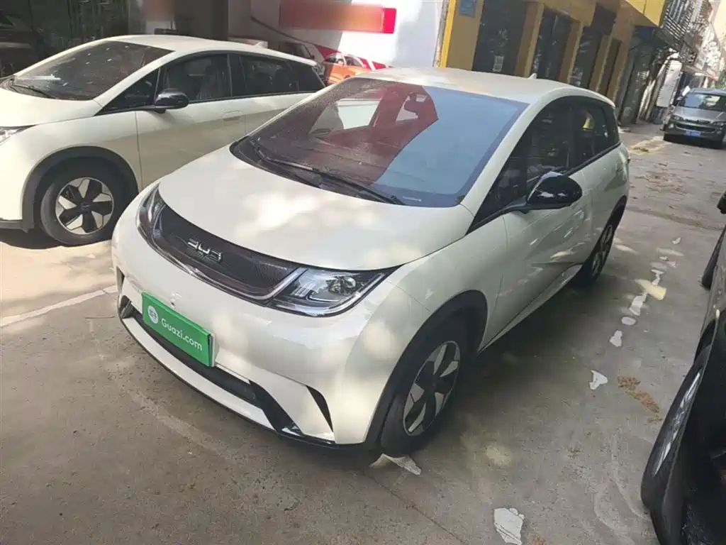 BYD Dolphin 2025 420km Freedom