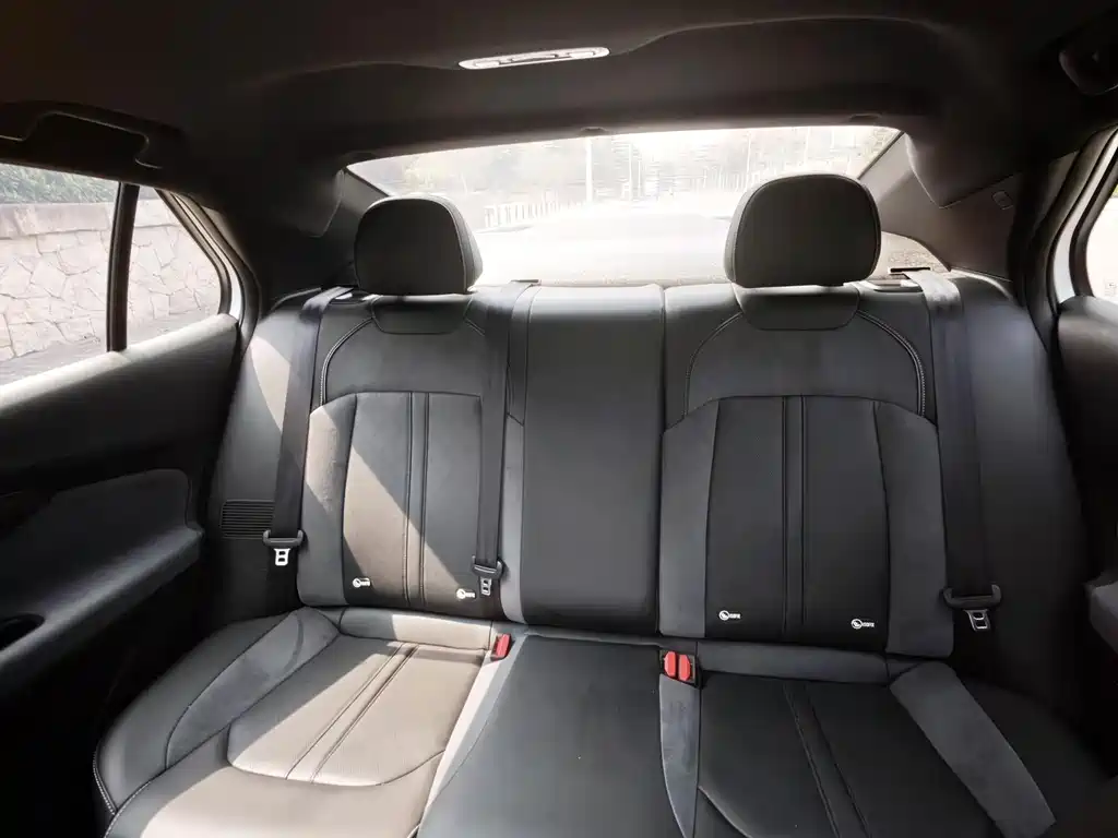 GAC Motor Shadow Leopard — миниатюра 10