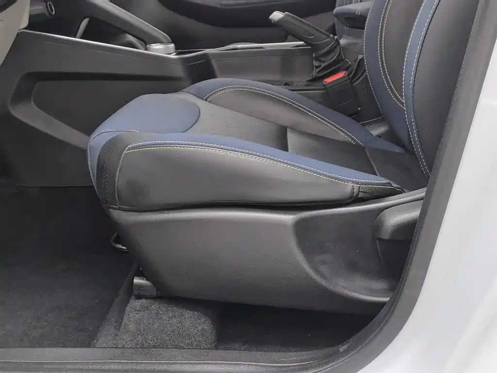 GEELY GEOMETRY EX3 KUNG FU COW