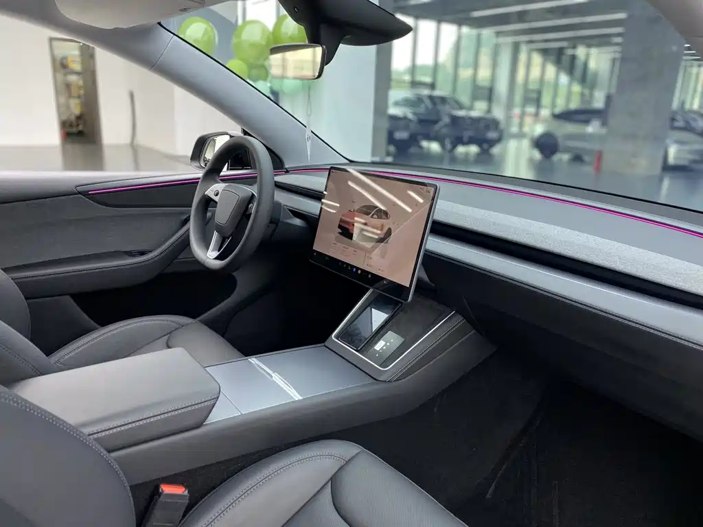 Tesla Model Y — миниатюра 20