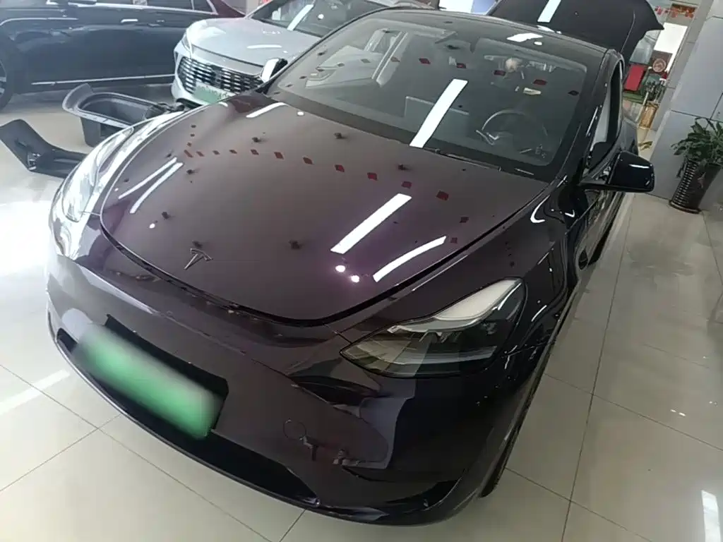 Tesla Model Y — миниатюра 2