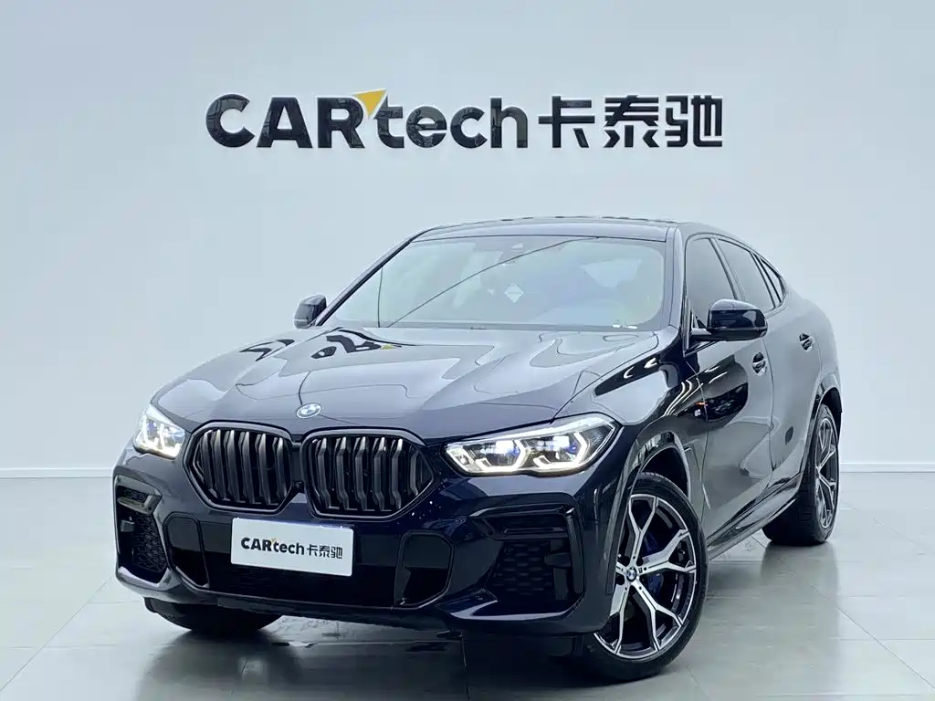 BMW X6 — миниатюра 11