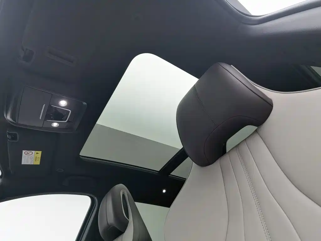 BYD PLUS New Energy — миниатюра 14
