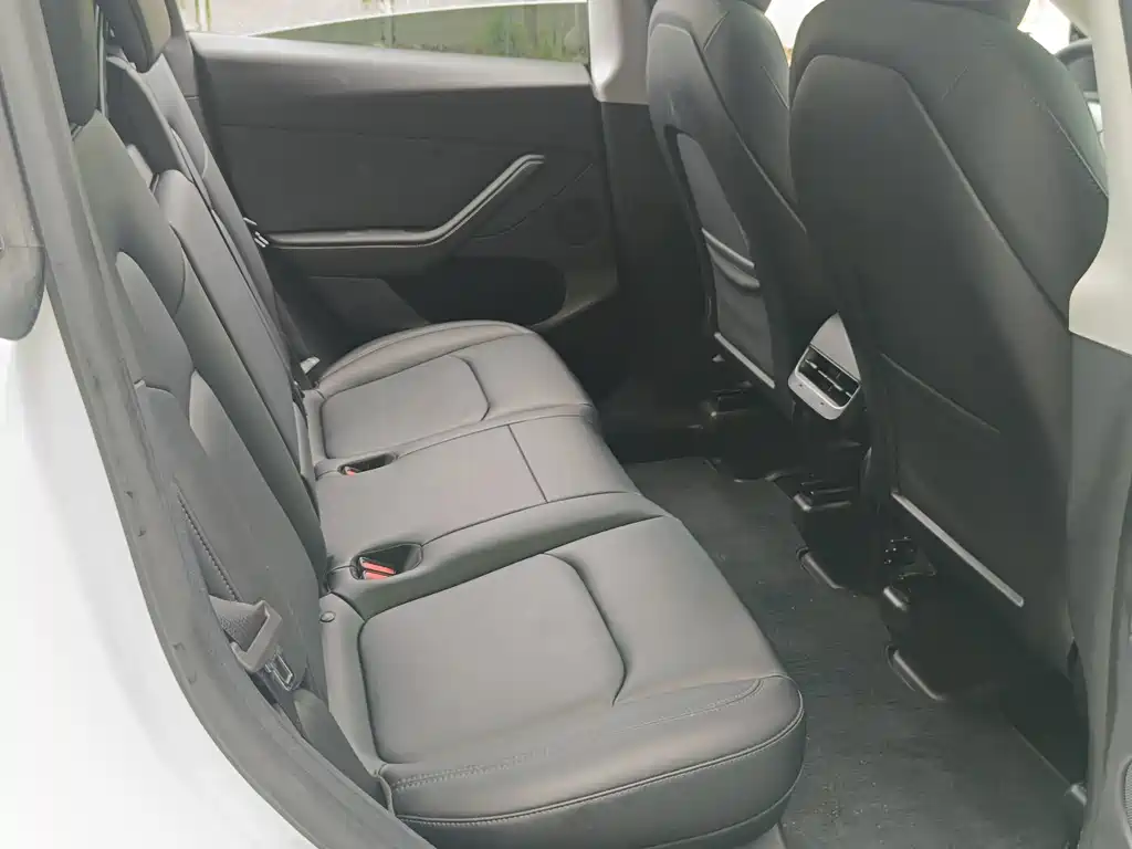 Tesla Model Y — миниатюра 5