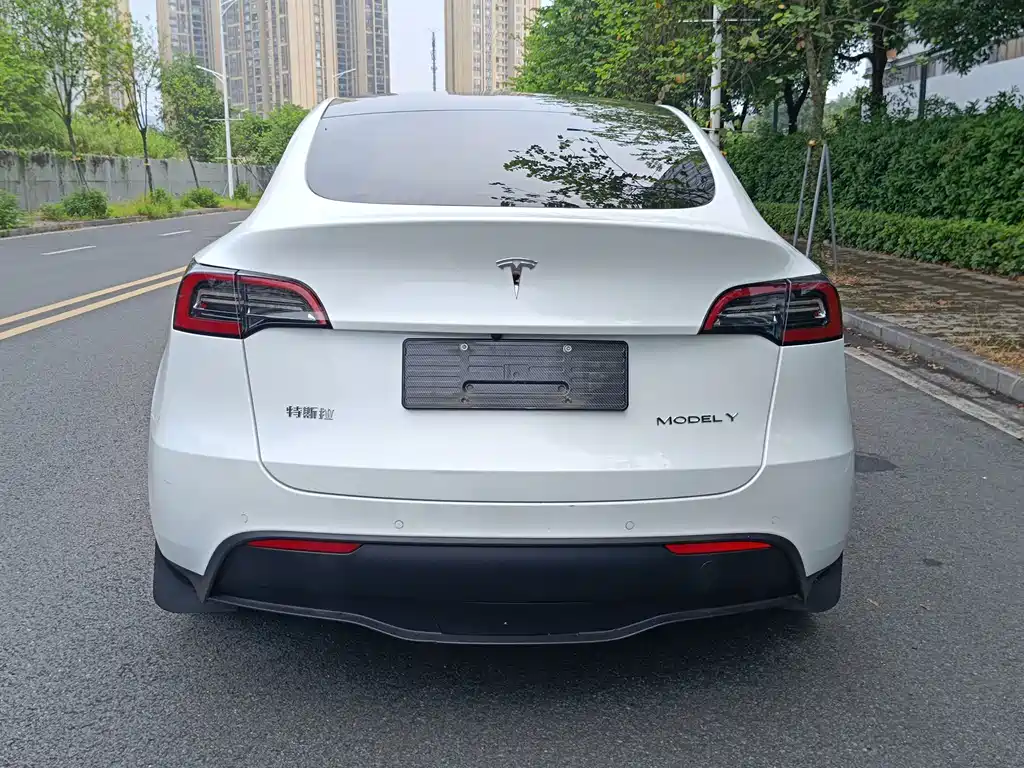 Tesla Model Y — миниатюра 3