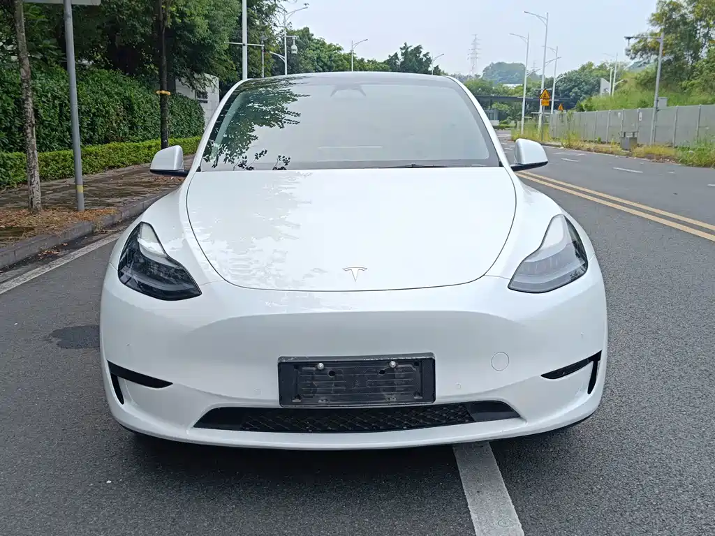 Tesla Model Y — миниатюра 2