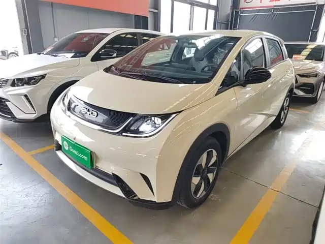 2026 BYD Dolphin