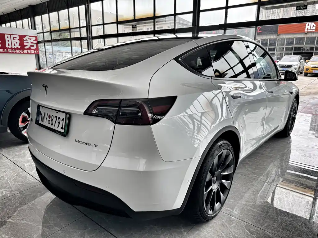 Tesla Model Y — миниатюра 5