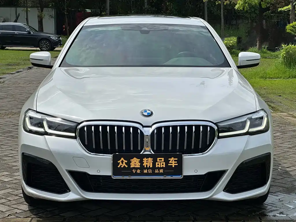 BMW 5 Series — миниатюра 2